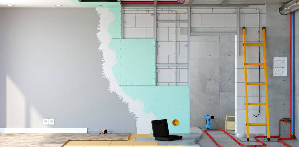 Mold Documentation for Insurance Claims in Anna, TX
