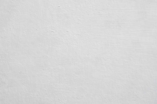 Mold Remediation for Rental Properties in Anna, TX